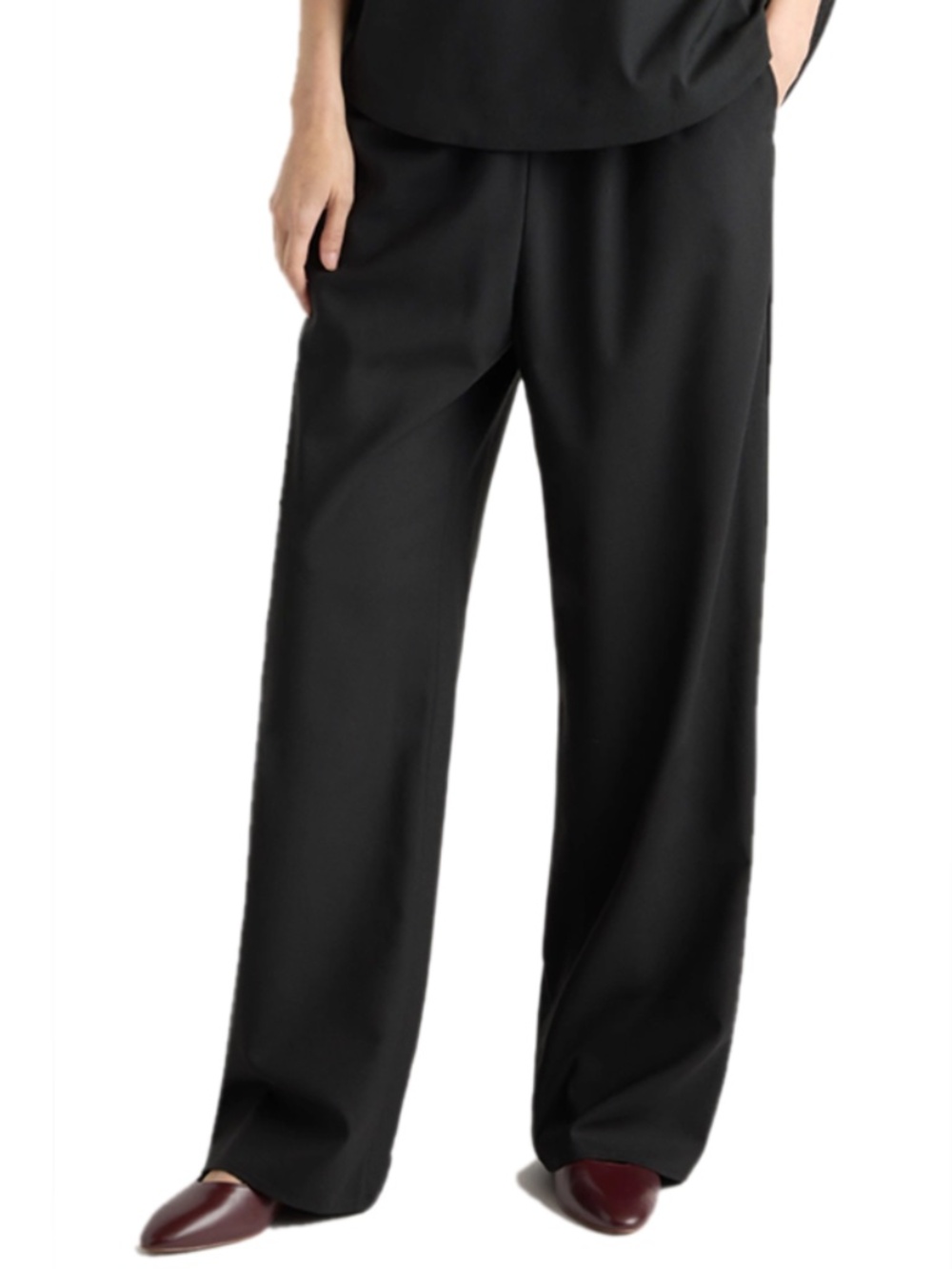 Modern Citizen Parmer Wool Blend Pant